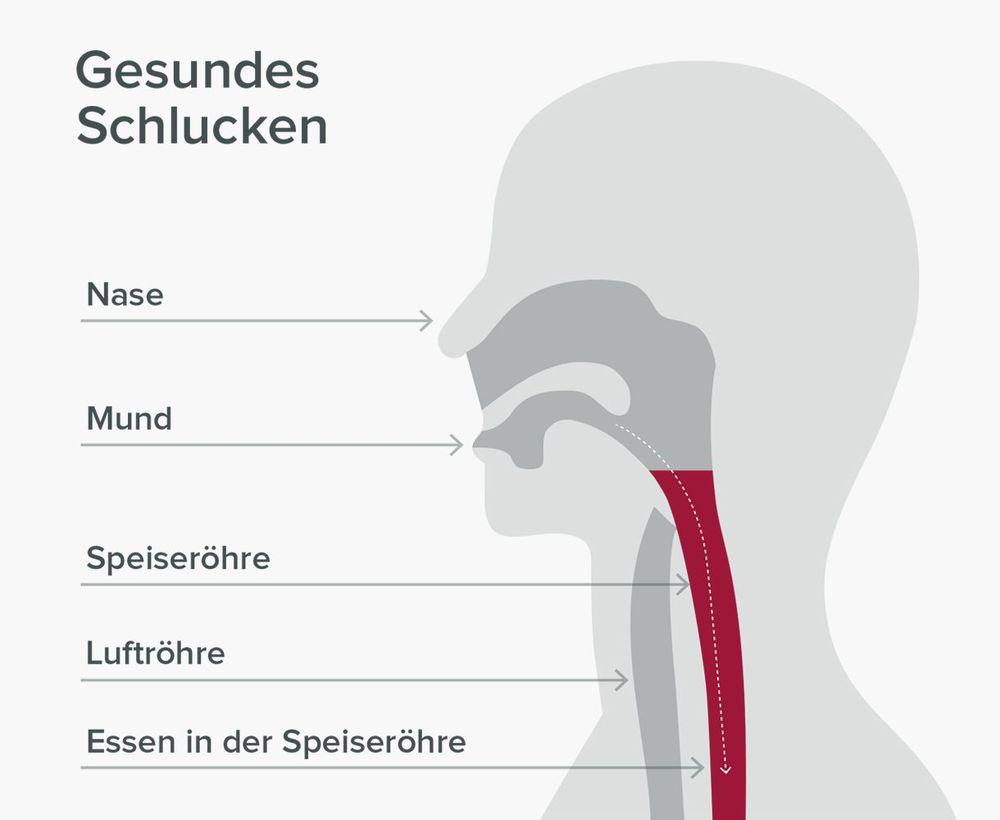 Gesundes Schlucken ohne Schluckstörung