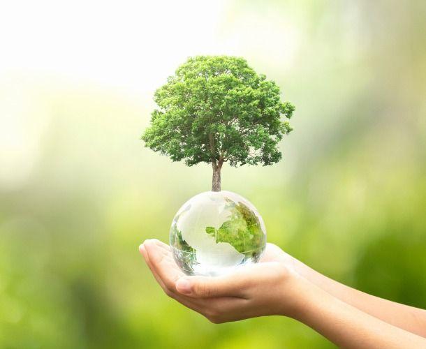 Lovital Monatskarton Umweltfreundlichkeit Lovital Monatskarton Umweltfreundlichkeit