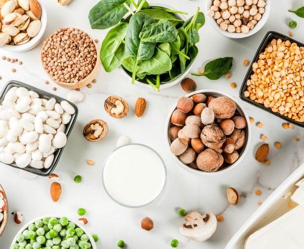 Pflanzliches Eiweiß Pflanzliches Eiweiß