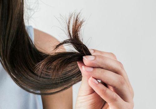 Strukturproteine Strukturproteine